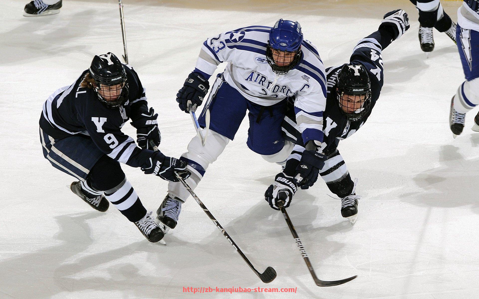 看球宝-法甲里昂俱乐部市场扩展策略与成效评估
